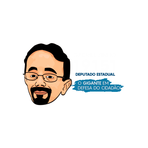 Santa Catarina Deputado Estadual Sticker by Gabrielzinho