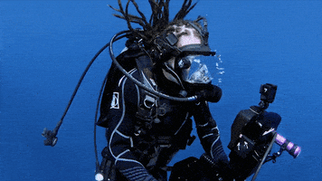 Discovery GIF by Shark Week