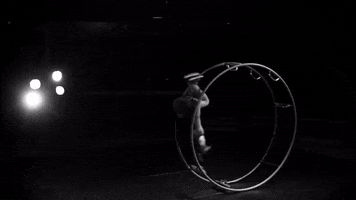 Circus Cirque GIF by MagdaClan circo