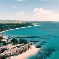 Mauritius GIF by Turkish Airlines