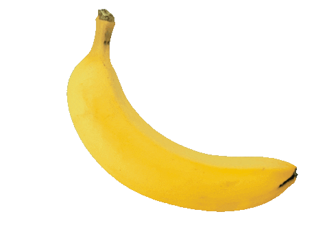 Banana Rocking Sticker by Tom Windeknecht for iOS & Android | GIPHY