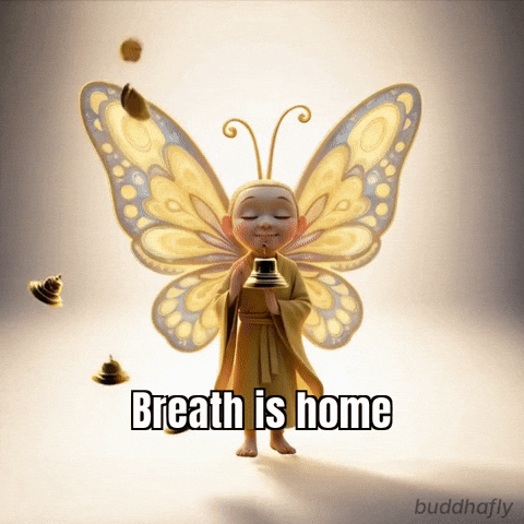 Peace Focus GIF by BuddhaFlyJourney