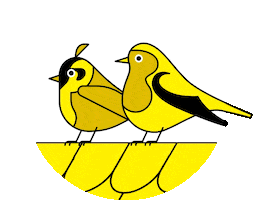 Yello Sticker