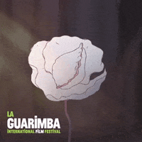 Sexy Flower GIF by La Guarimba Film Festival