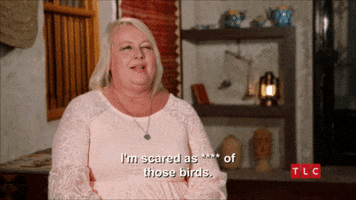Scared 90 Day Fiance GIF by TLC