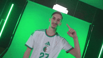 Algeria Dzpower GIF