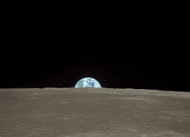 Moon Landing GIF by MOODMAN