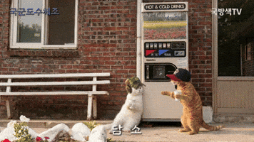 국군 도수체조 GIF
