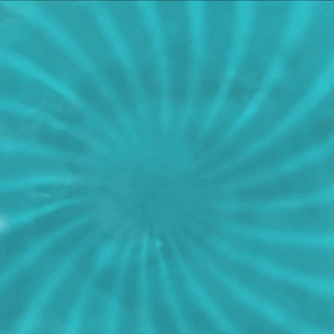 Loja Das Conservas GIF by Creative Discovery