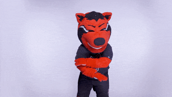 Red Wolves No GIF by Arkansas State University