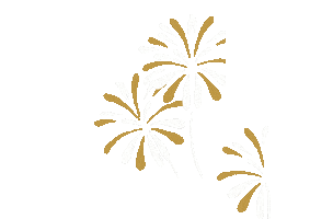 New Year Fireworks Sticker