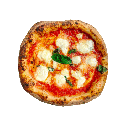 Royal Pizza Italia (Bio Ricci) Sticker