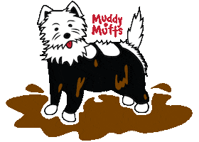 Dog Mud Sticker by Muddy Mutts