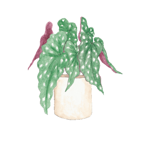 Animated Sticker