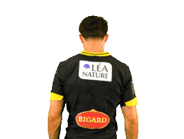 Rugby Sticker by Stade Rochelais
