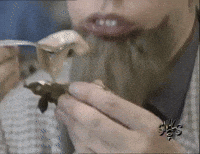 bon-appetit-snuls-les-ZCGjzfne6gqu7OqgLE
