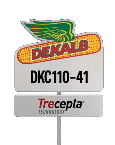 Farm Corn Sticker by DEKALB Asgrow Deltapine