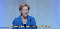 Elizabeth Warren 2020 Race GIF by Election 2020