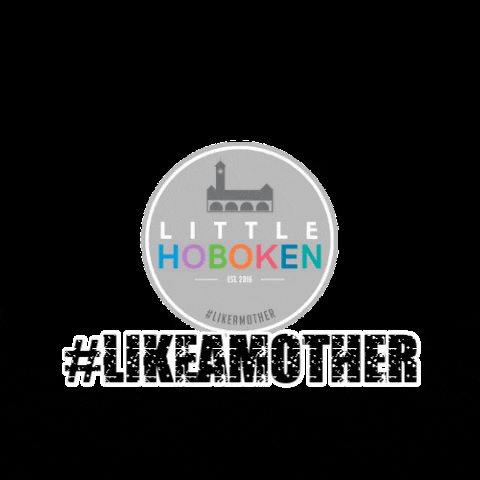 LittleHoboken mother momlife hoboken littlehoboken GIF