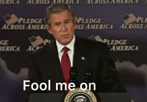 George W Bush GIF
