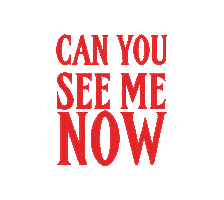 Can You See Me Now The Last Shadow Puppets Sticker by MilesKane