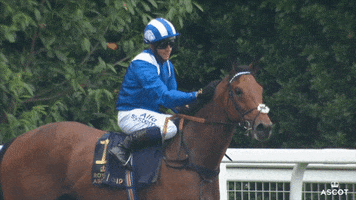 Horse Racing Love GIF by Ascot Racecourse