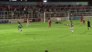 Fans Celebrate GIF by Yeovil Town FC