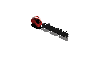 Foto Schneider Sticker