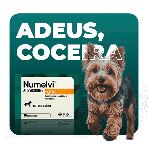 Numelvi Sticker by MSD Família Pet