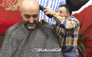 Koksal GIF