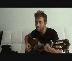 melis  GIF