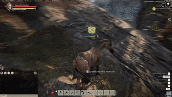 Cheval GIF