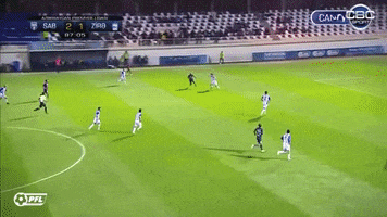 Nicat Suleymanov GIF