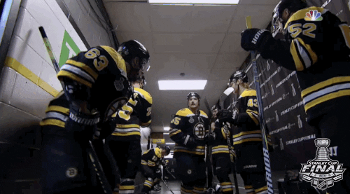 2019 Stanley Cup Finals GIF by NHL - Find & Share on GIPHY