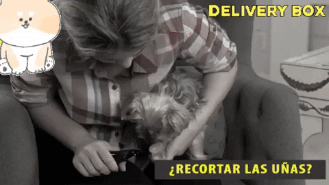 GIF animado
