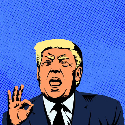 Donald Trump Biden GIF by Creative Courage