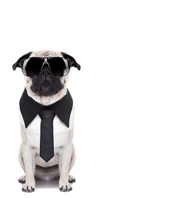 Wedding Dogs Sticker by Generation Tux