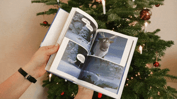 Animated GIF
