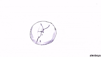 200.gif?cid=fc005b0810db98268ab7b13df716515891b9fe554b1f606a&rid=200.gif&ct=g