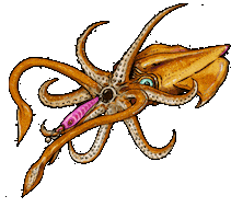 Squid Calamar Sticker by Yuki Competition