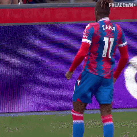 Premier League What GIF by Crystal Palace Football Club