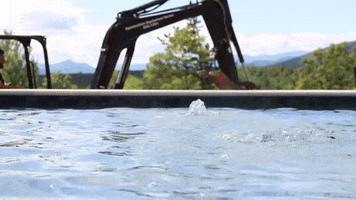 Water Day Pool GIF by JC Property Professionals