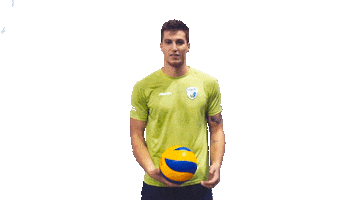 Klemen Cebulj Volleyball Sticker by EuroVolley2019si
