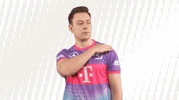 No Problem Esports GIF by SK Gaming