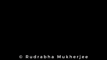 Bollywood GIF
