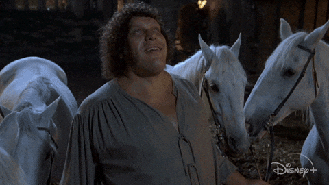 The Princess Bride Disney Plus GIF by Disney