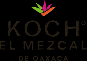 Mexico Oaxaca GIF by koch el mezcal