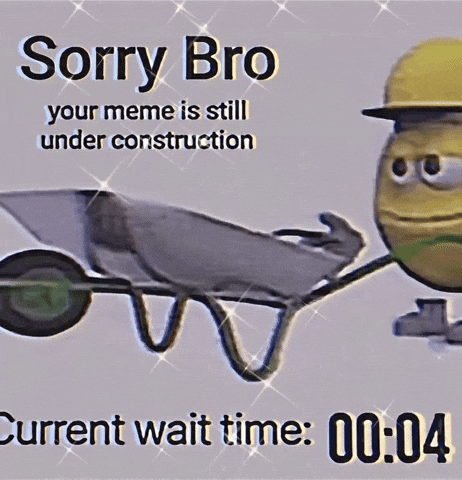 Sorry Bro Bling GIF