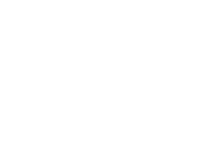 wunder Sticker