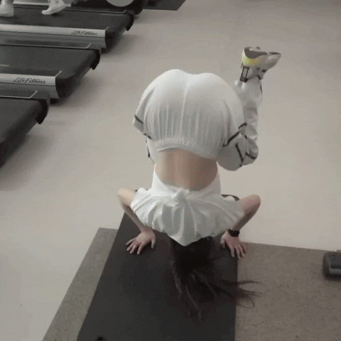 Meme GIF